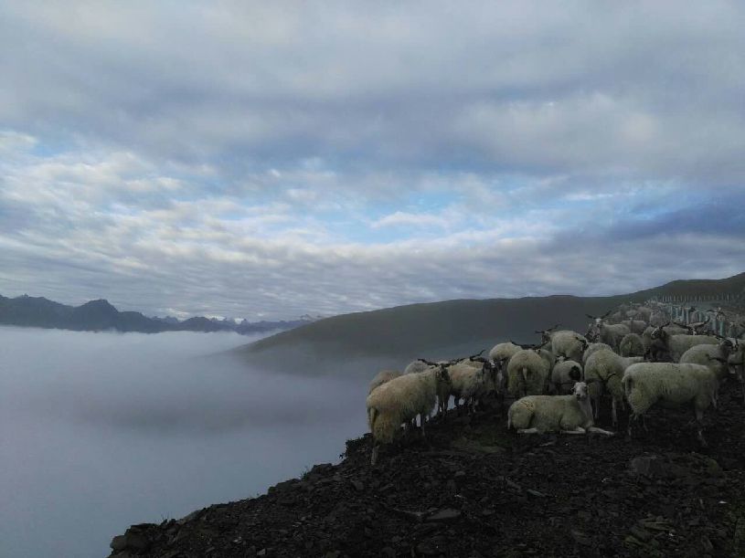 中国】达瓦更扎看云海AG真人中国【大美(图1)