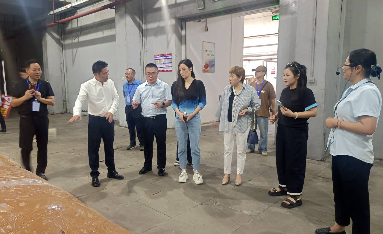 人唐艺团队打卡咸宁高新区企业AG真人国际